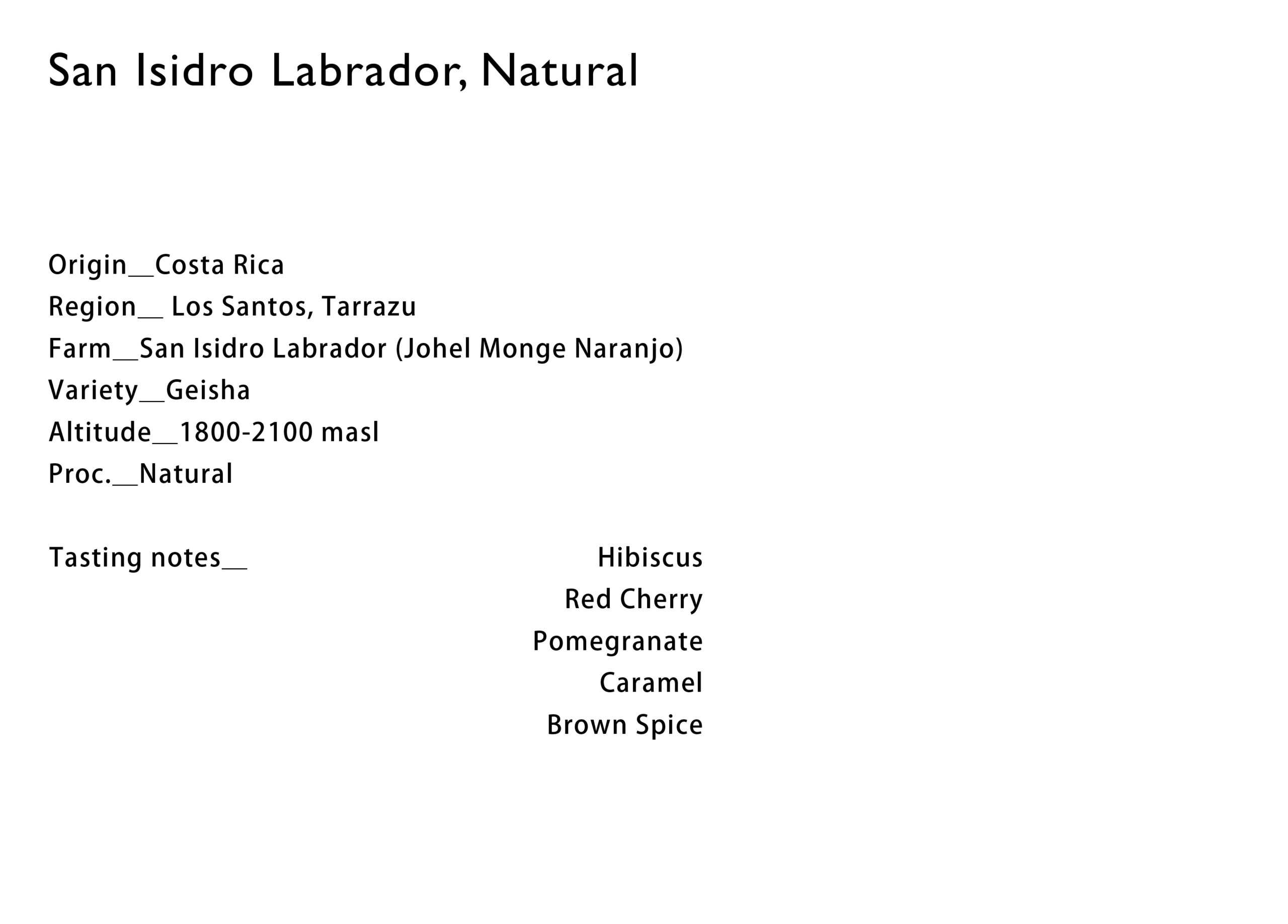 ECサンイシドロN